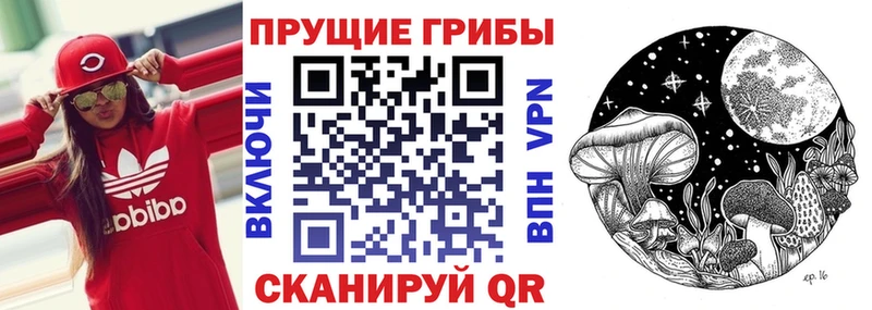 дарк нет официальный сайт  Сыктывкар  Галлюциногенные грибы прущие грибы 